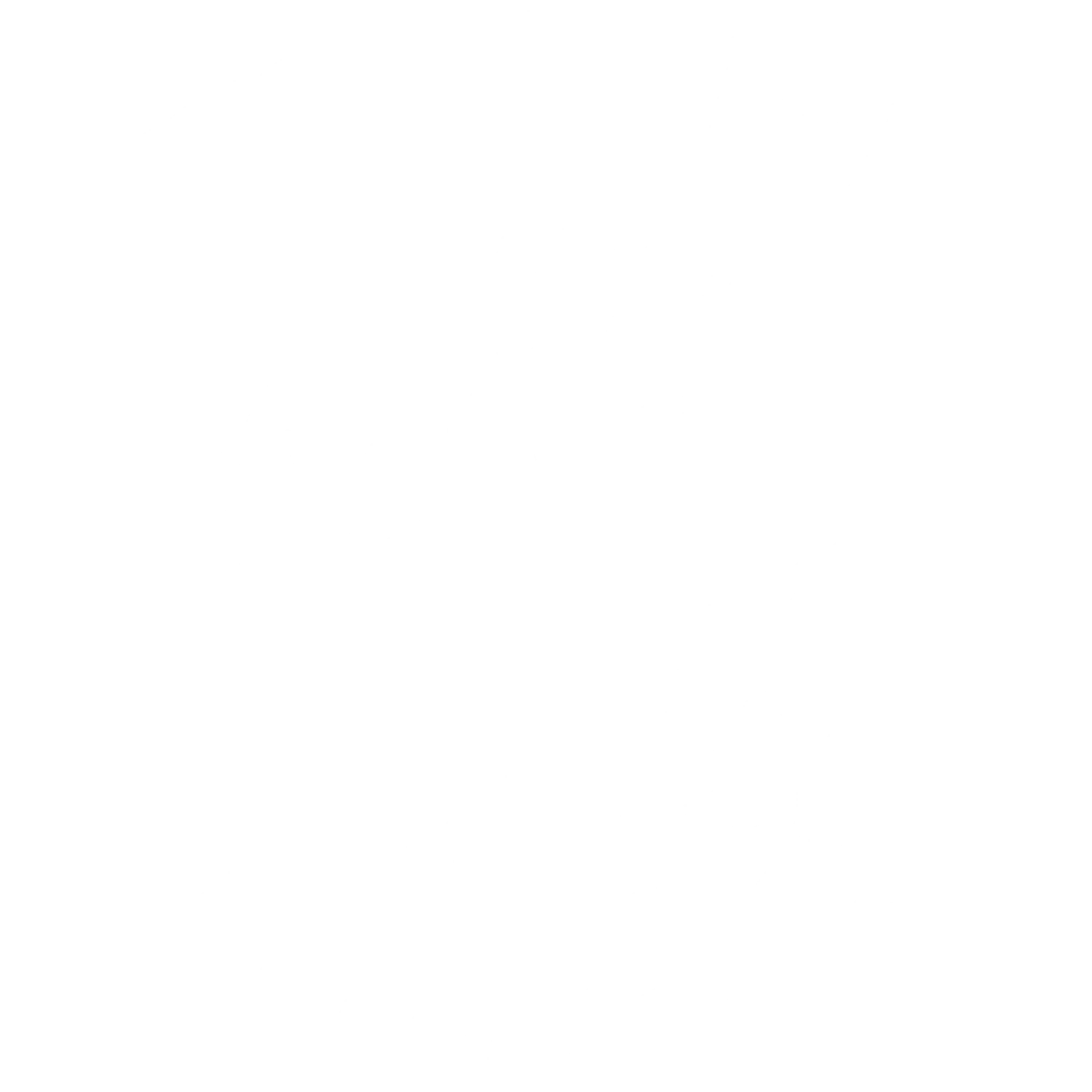 Muddy Belly Adventures