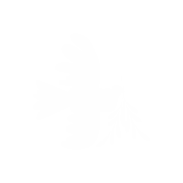 Little Dove Rentals