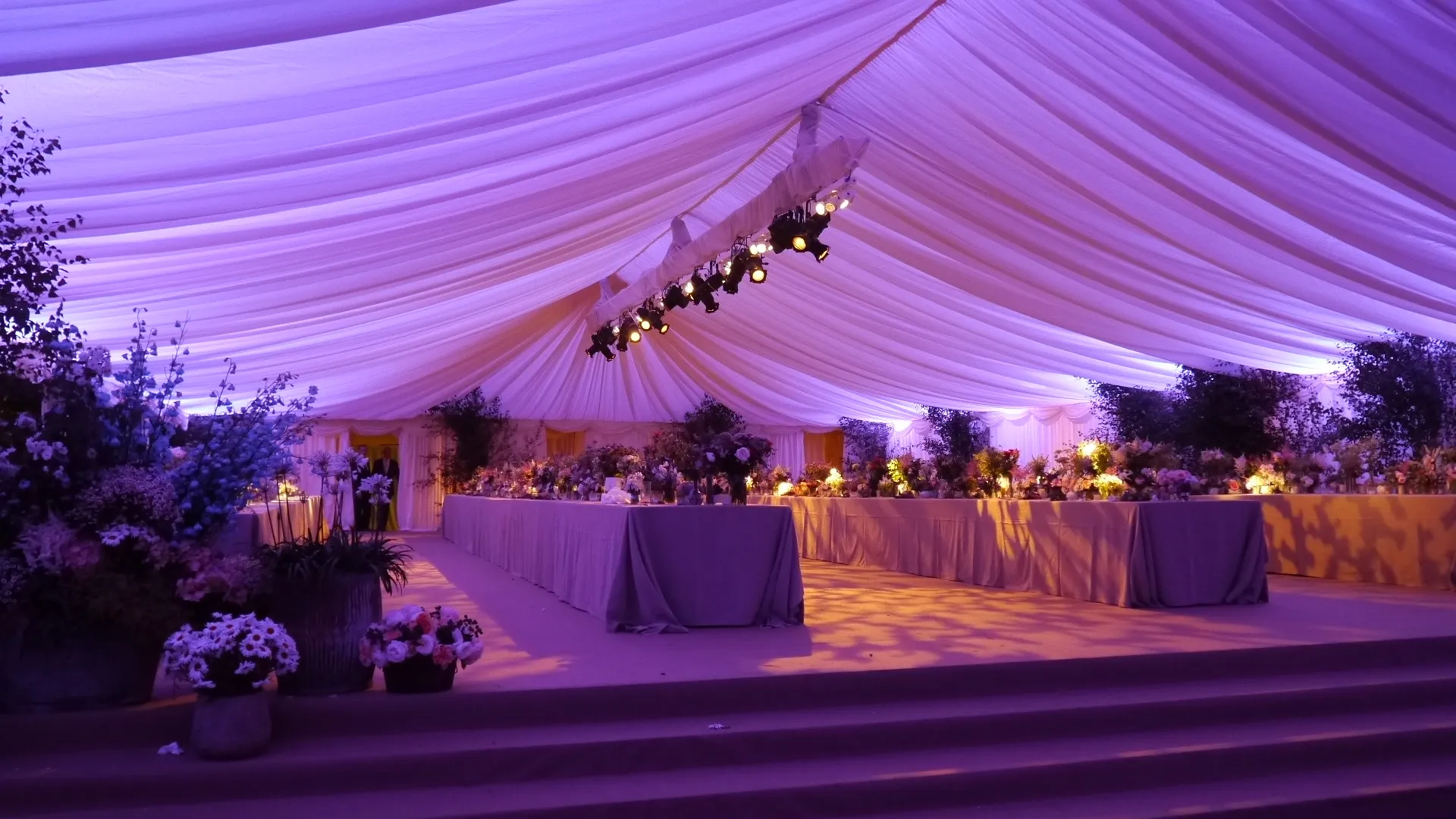 purple wash in marquee for a wedding