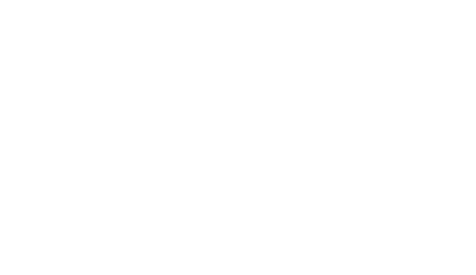 Visitante