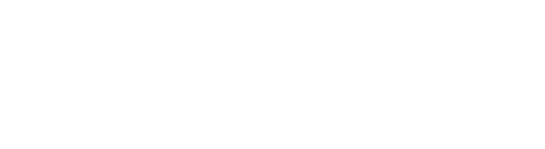Ride Workshop