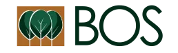 Partycentrum Bos - Uw horecapartner voor elk moment!