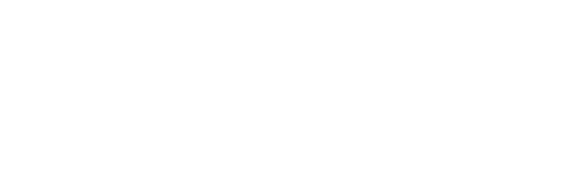 mister pink rentals | Thees Janssen