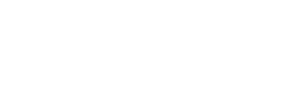 Bark Echo eBikes Ltd.