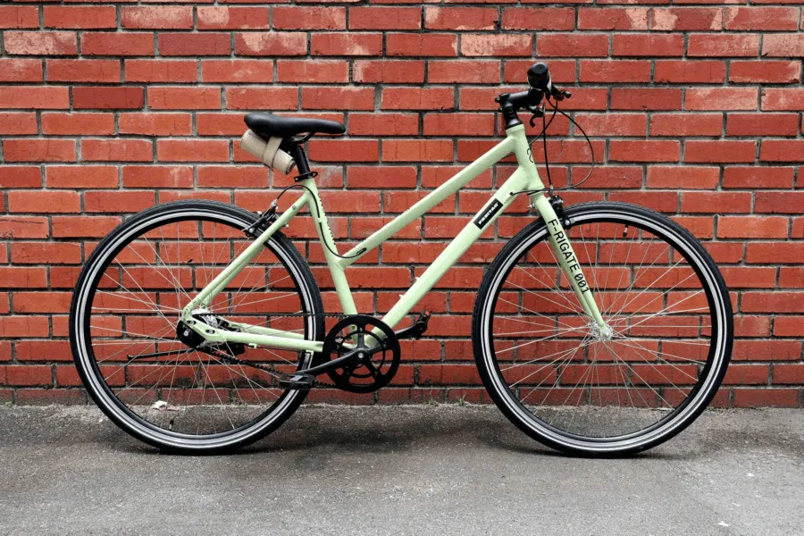 Singapore Bicycle Rental