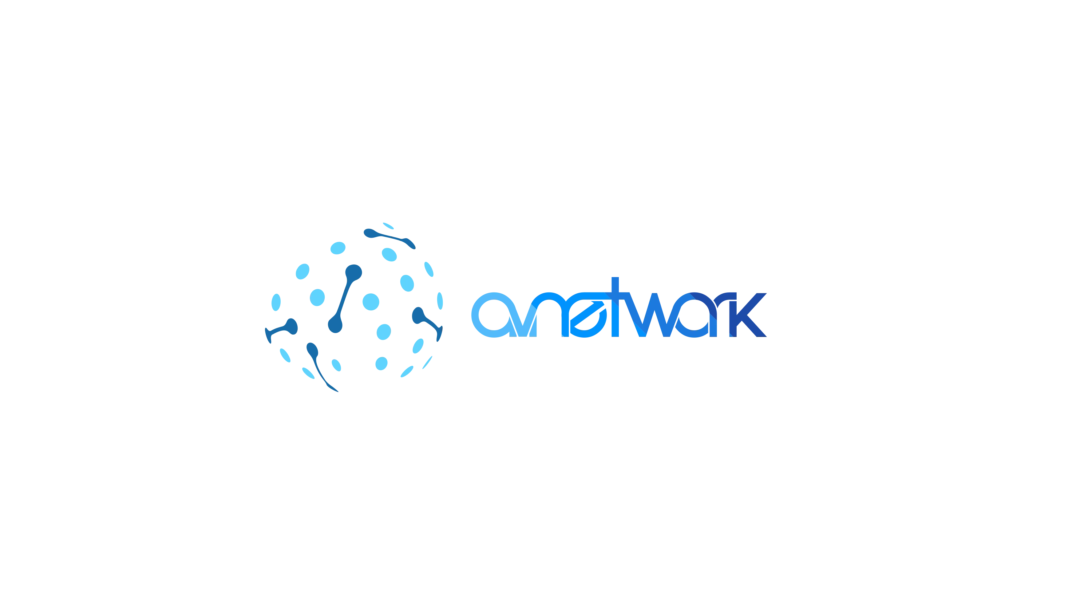 AVN Rental