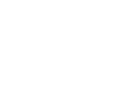 Charm & Luna Party Rentals