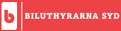 Biluthyrarna Syd AB