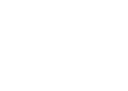 Wallstreets Toys
