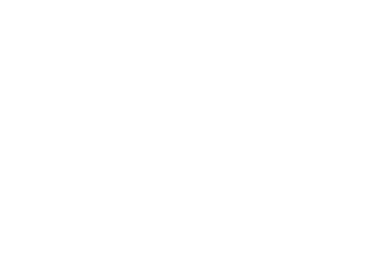 Ideal Events Group