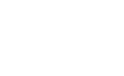 MT Brushmore Equipment Rental & Land Services