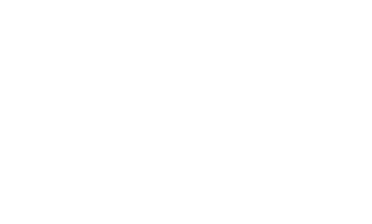 Next Wave Boat Rentals