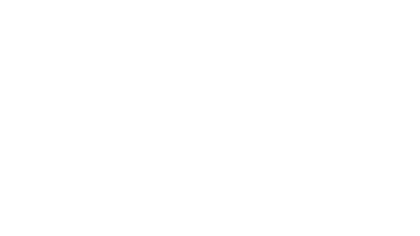 FANCY PARTY