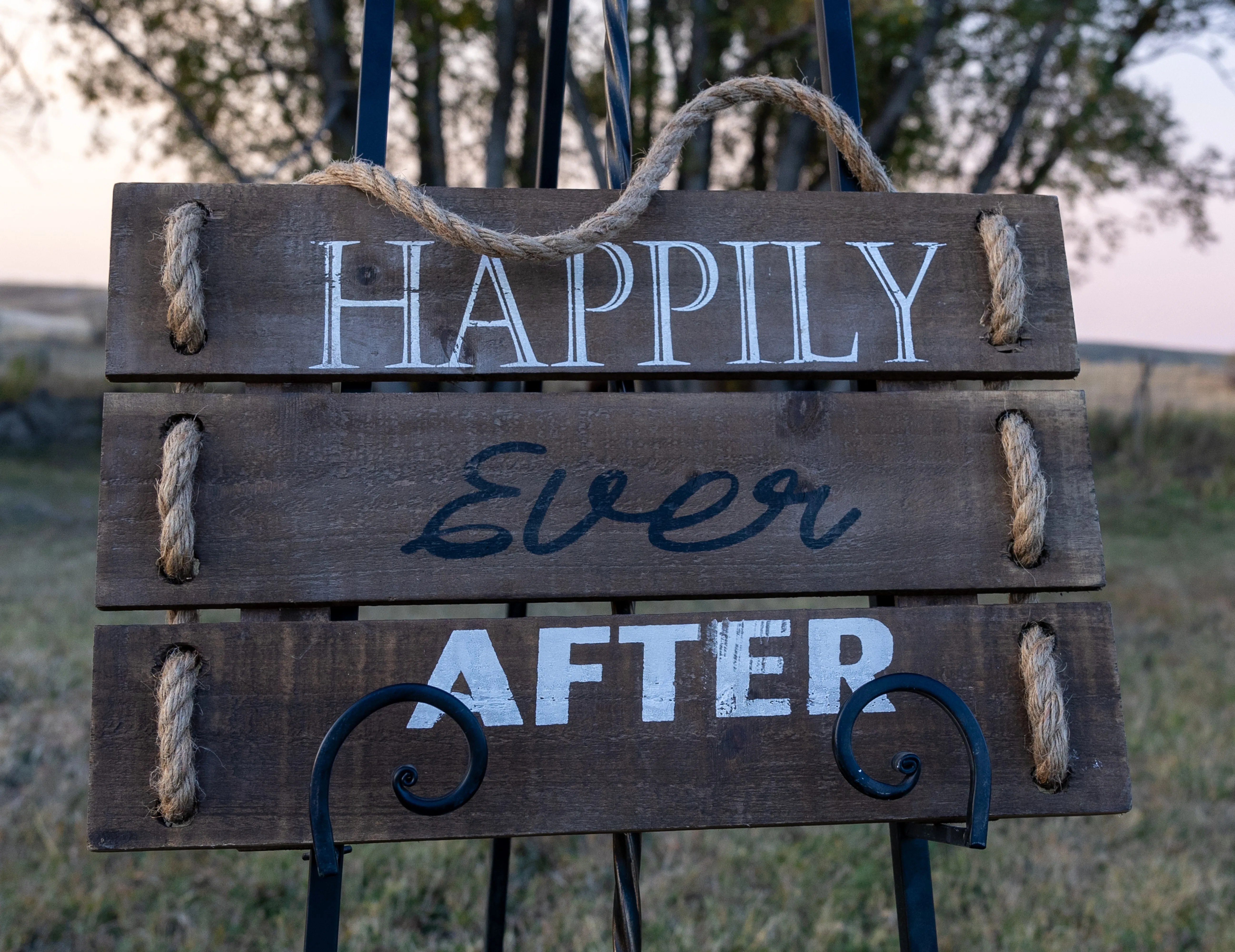 Happily Ever After Sign