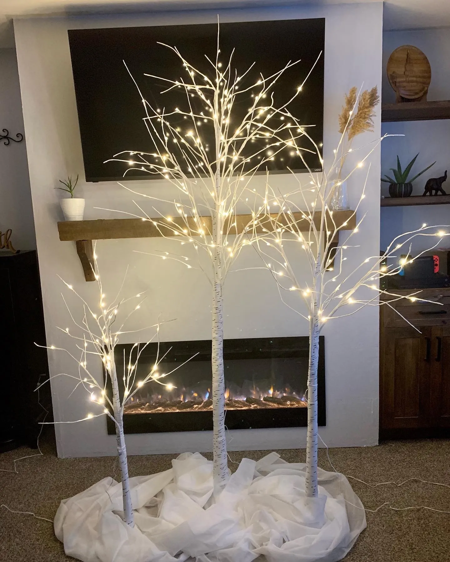Lit Birch Trees