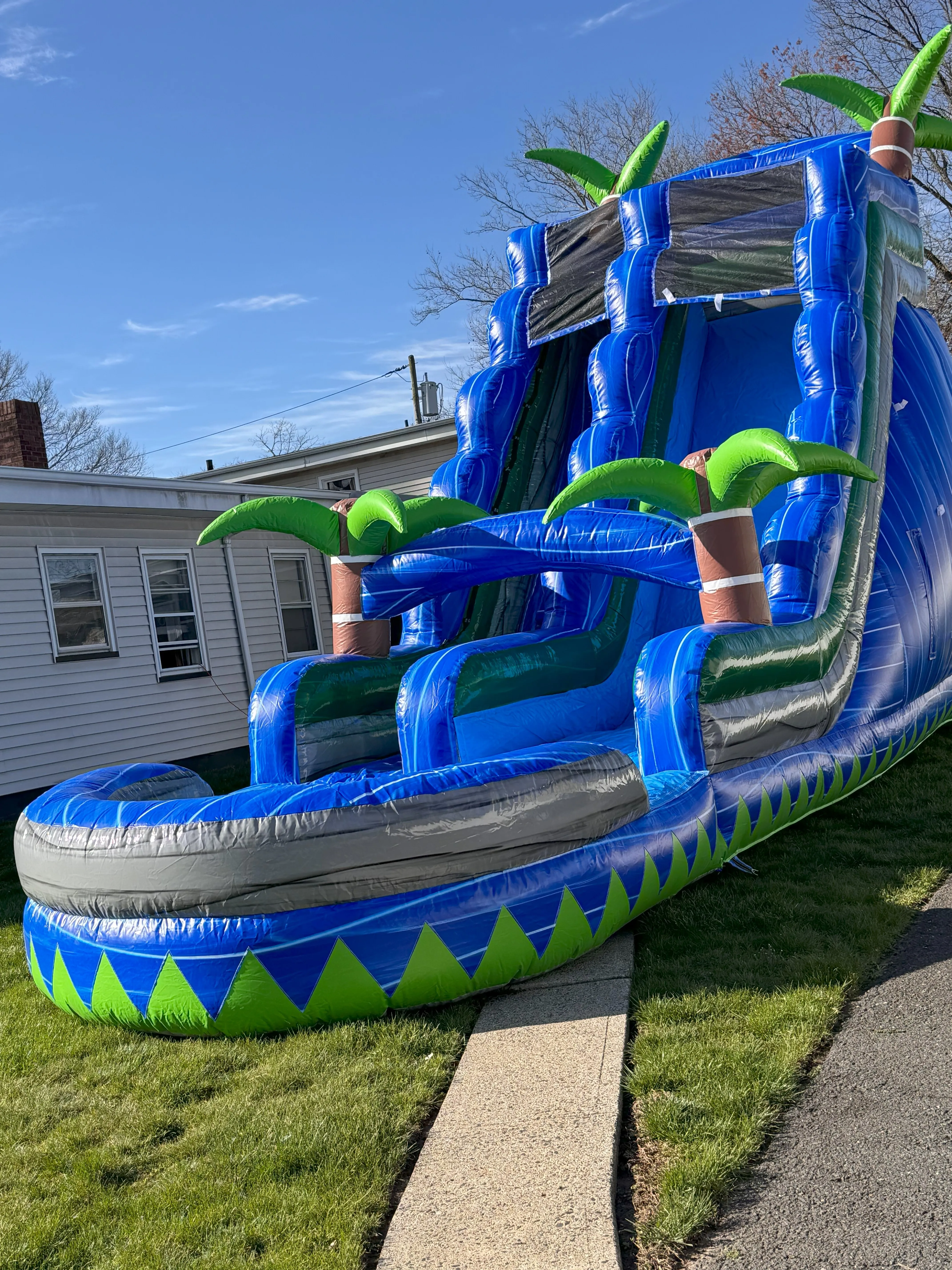 Palm Tree Super Slide