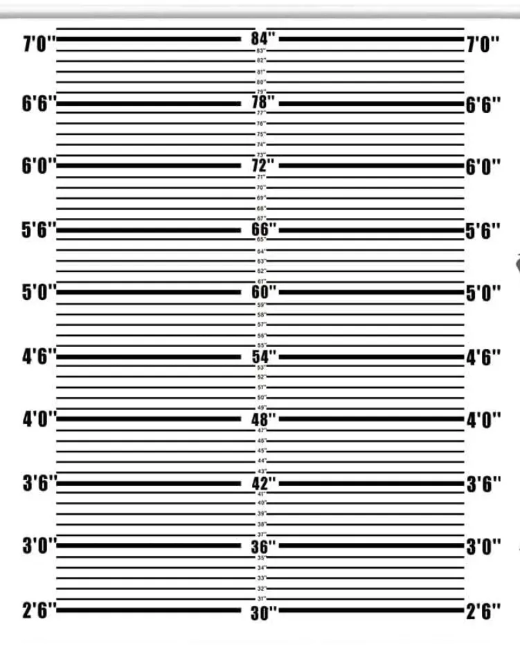 Line Up Backdrop