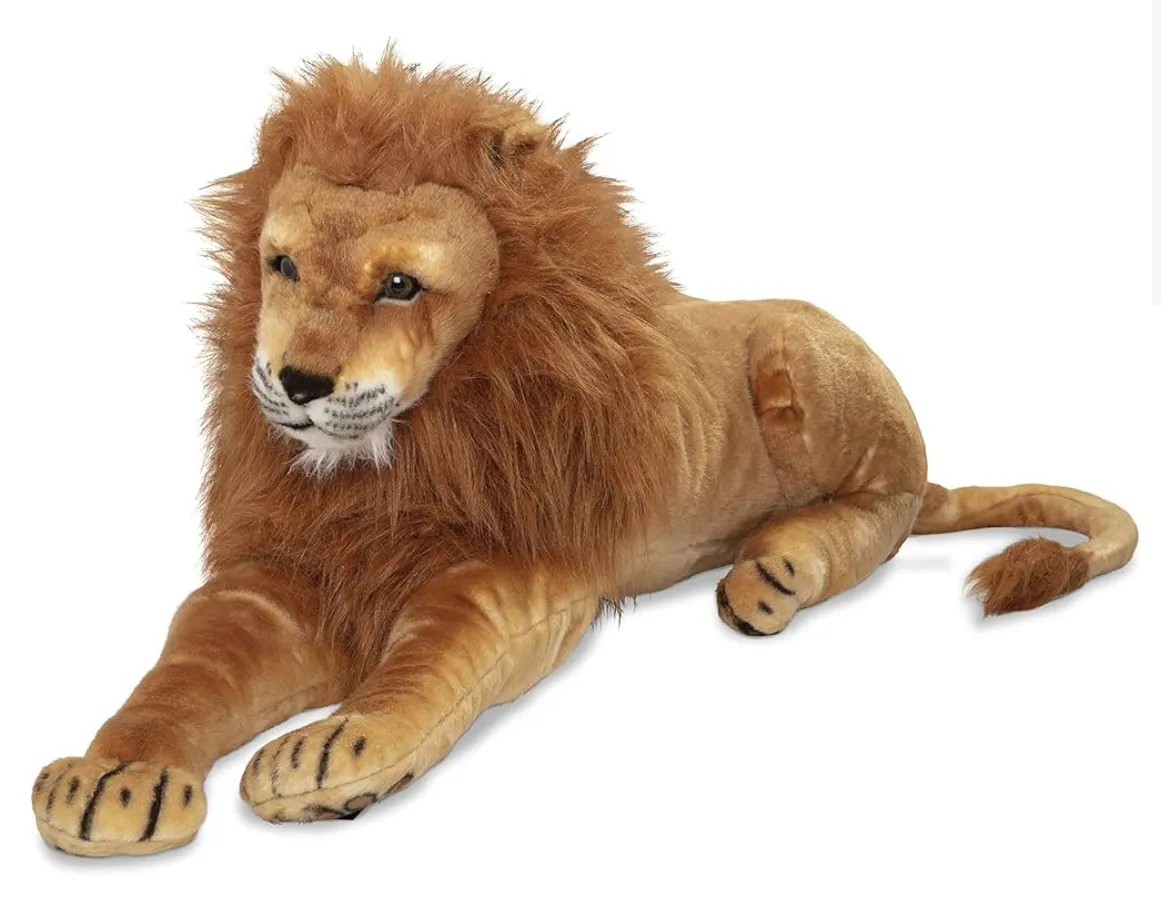 Lion 6'