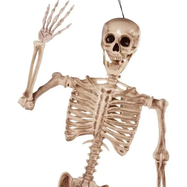 6ft halloween skeleton