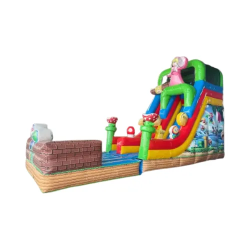 Le Mario Bros