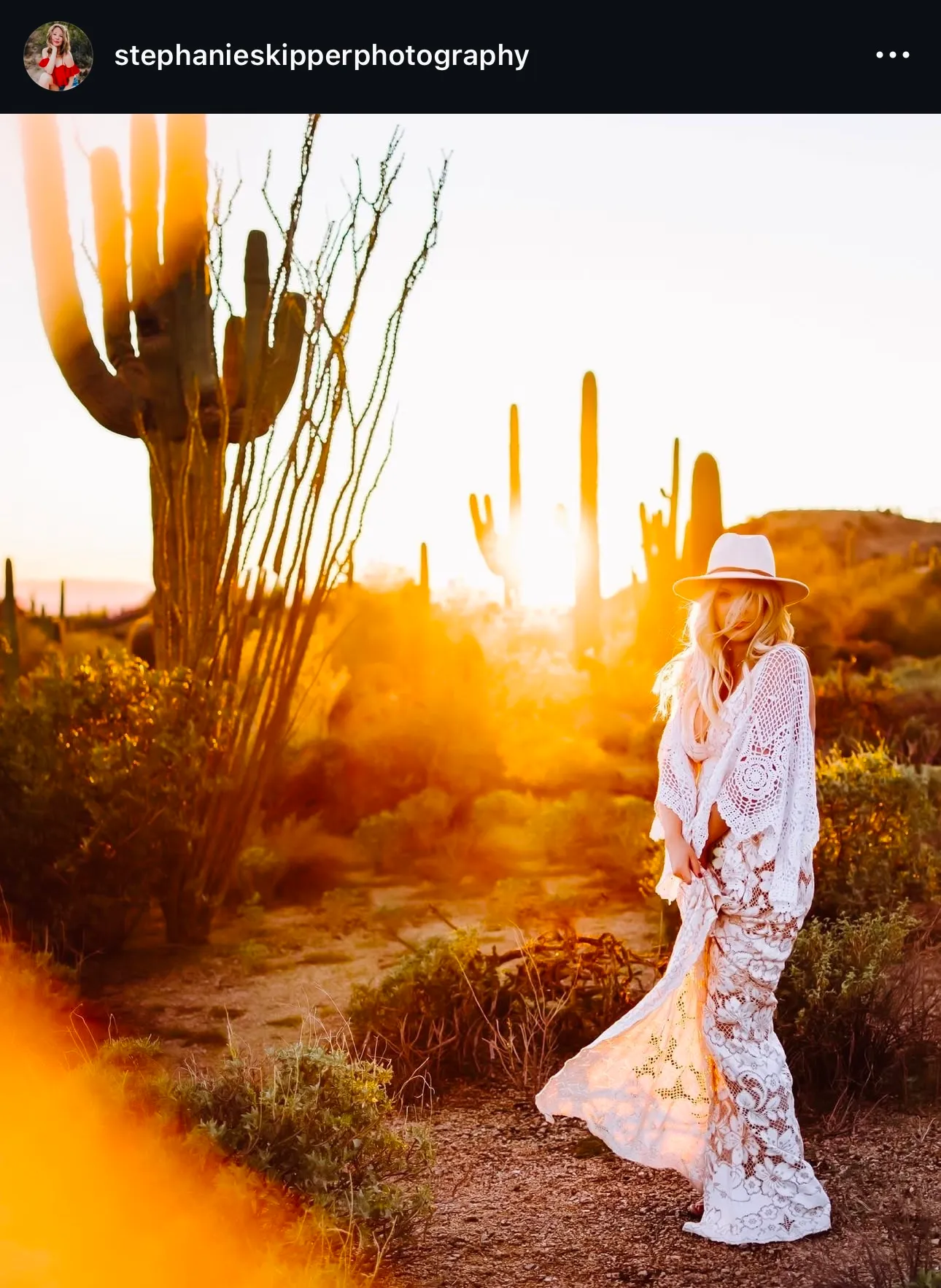 Magical Radiance Crochet Sleeve 