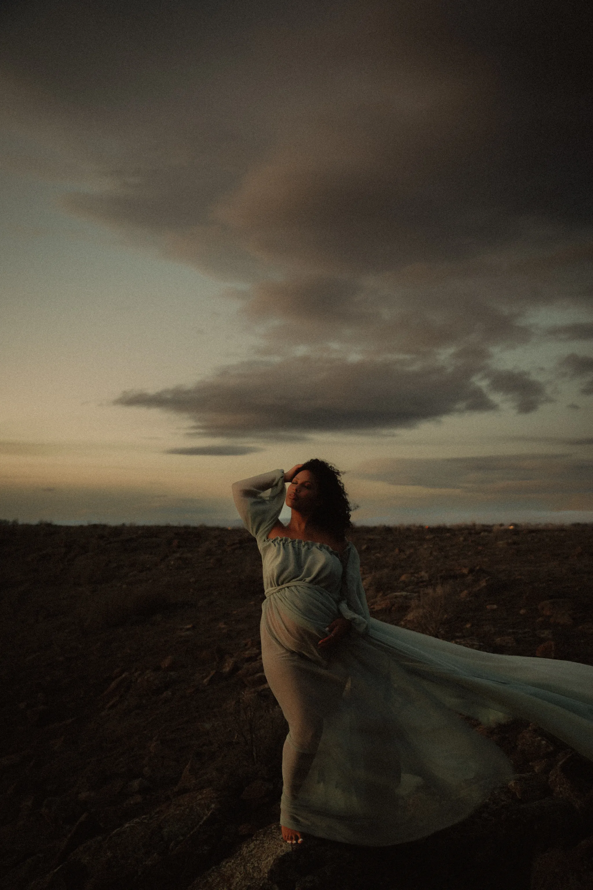 Shes like the wind gown