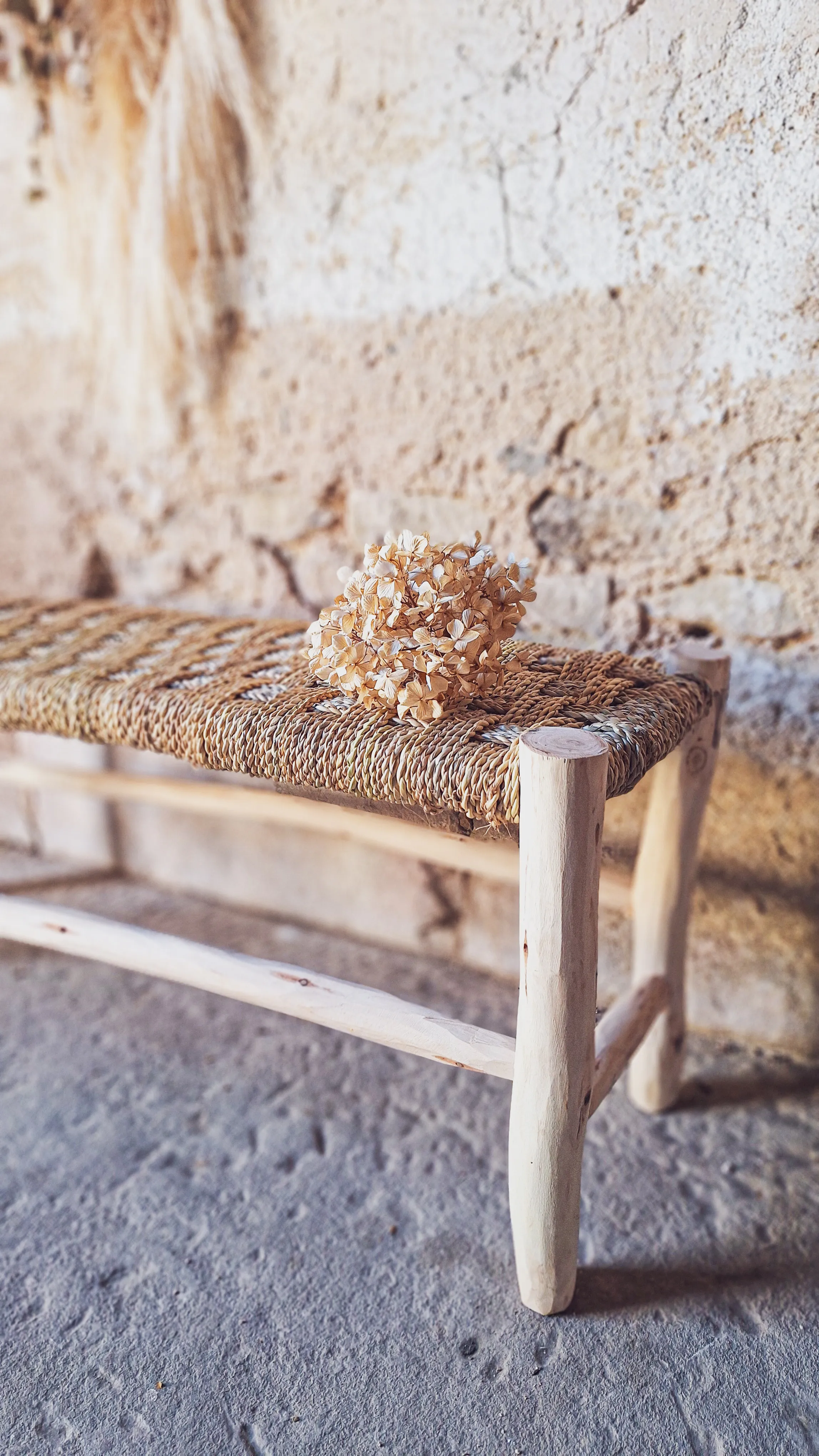 Banc Babette