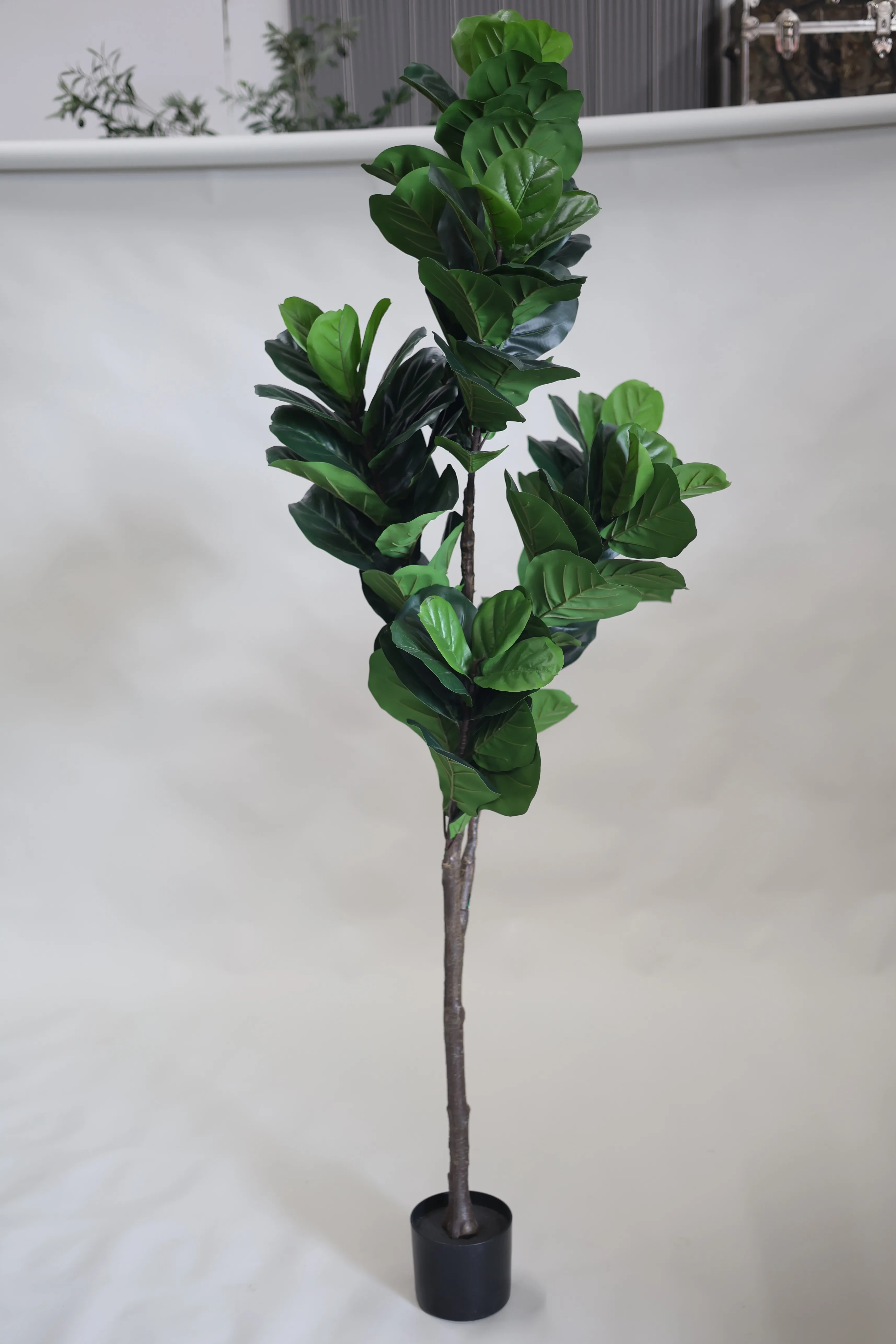 Fake Fig Leaf