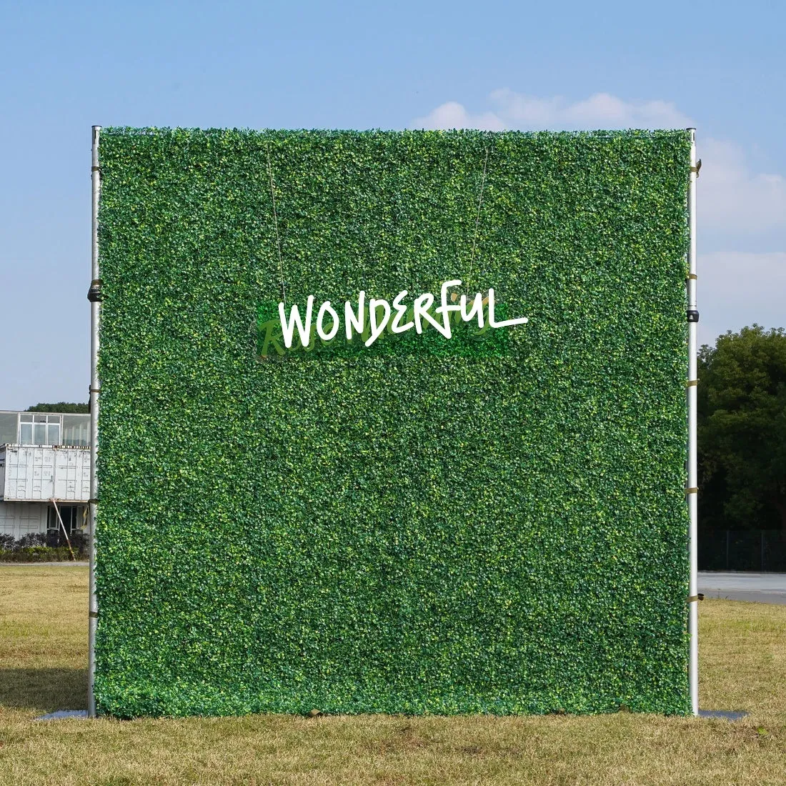 Boxwood Wall - 8ft x 8ft