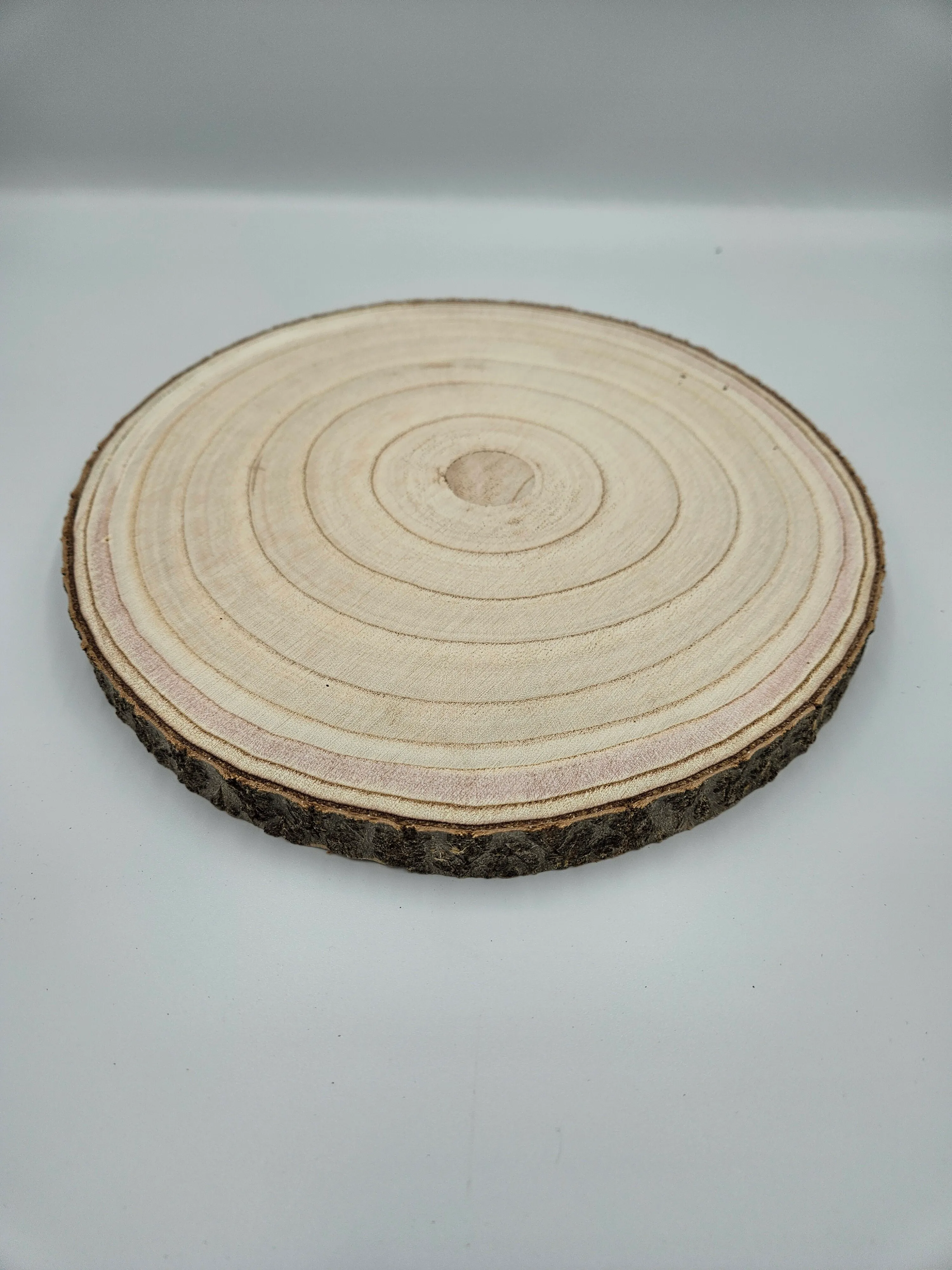 Wood Slice - 10in