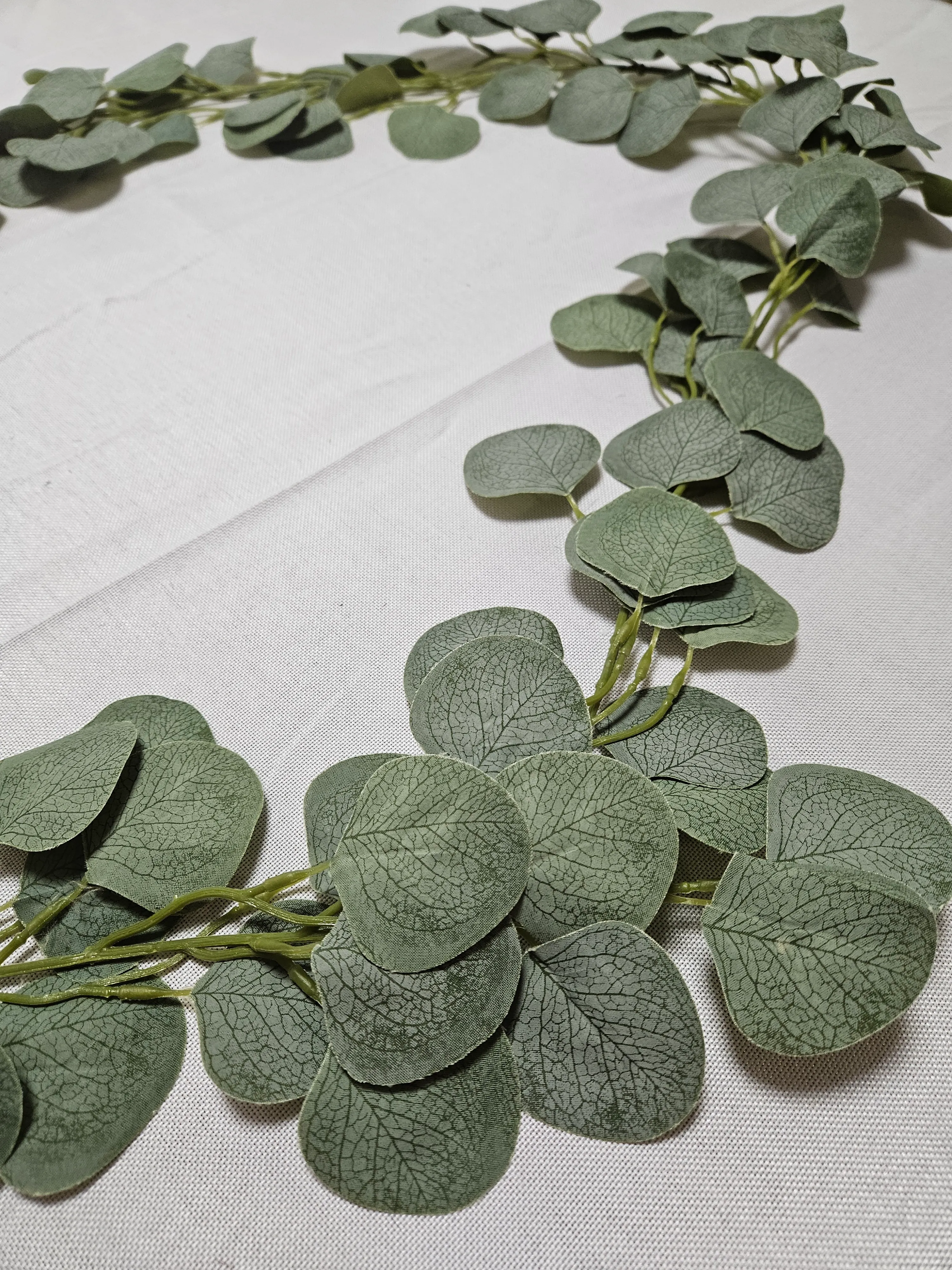 Silver Dollar Eucalyptus Garland - 72in
