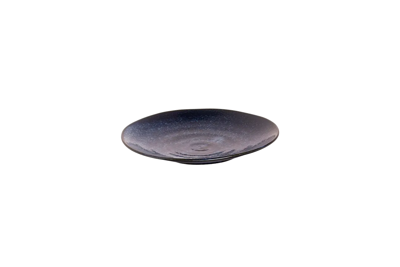 Bord Kiryu 24 cm Blauw Porselein