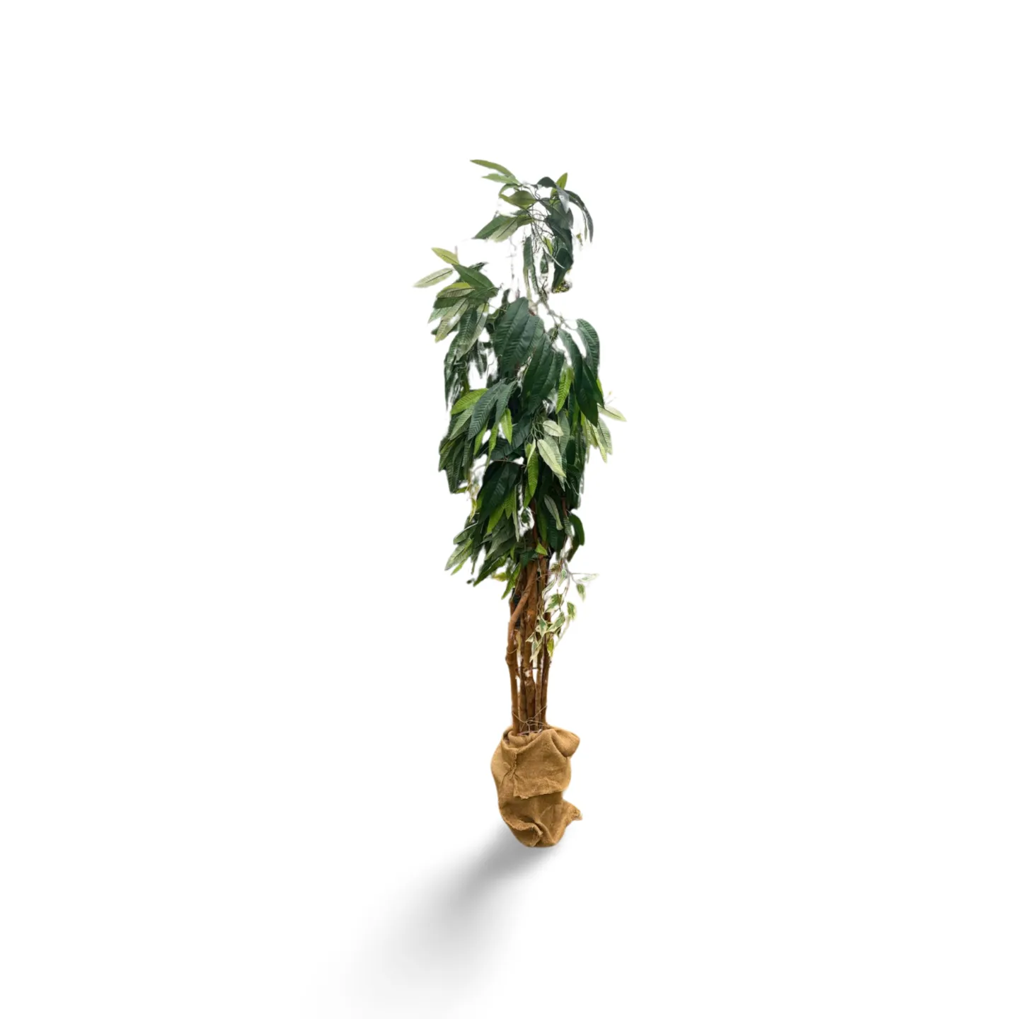 Tree - Artificial Type 2