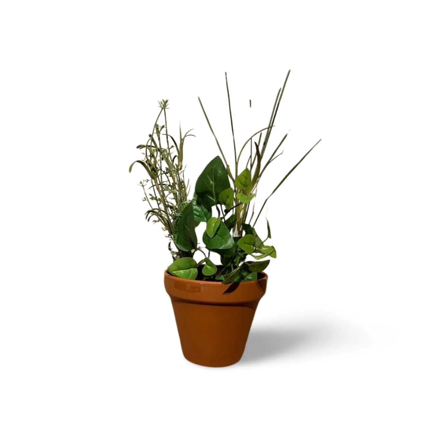 Herbs - Mixed In Terracotta Pot
