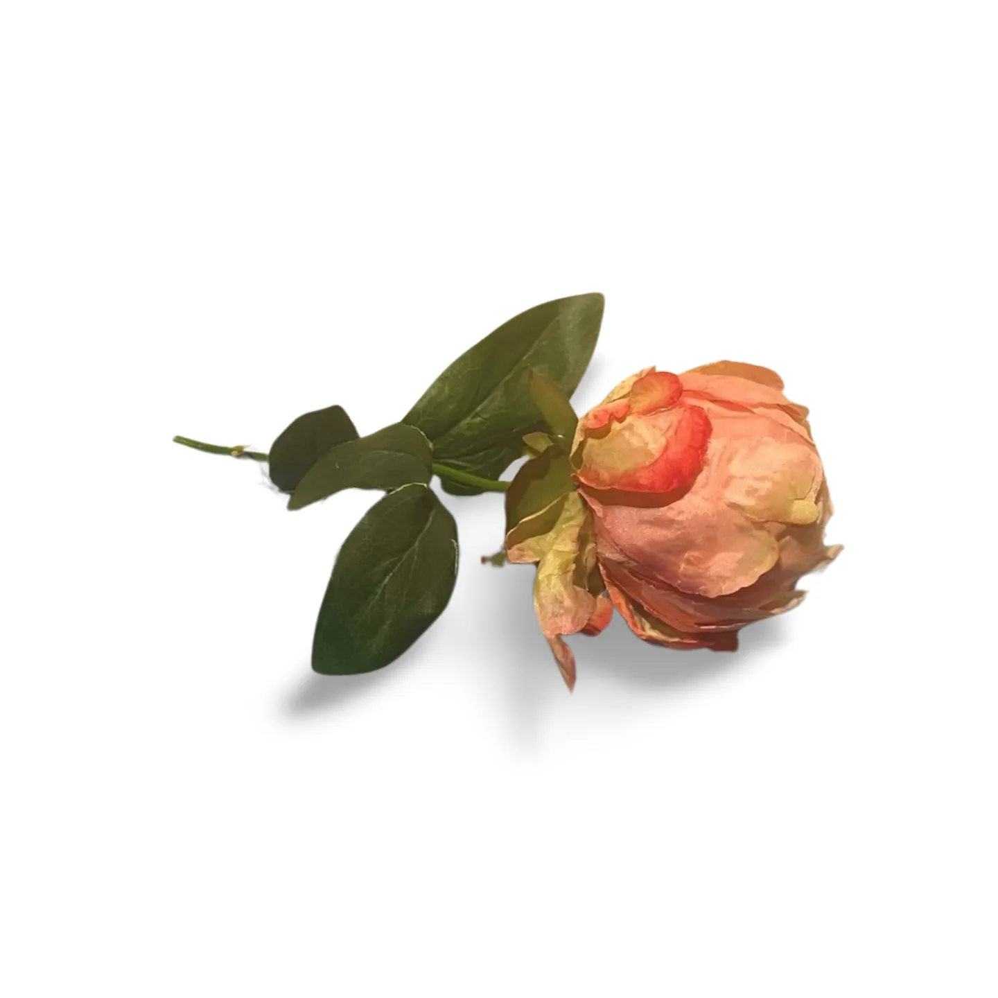 Rose Stem - Pink 