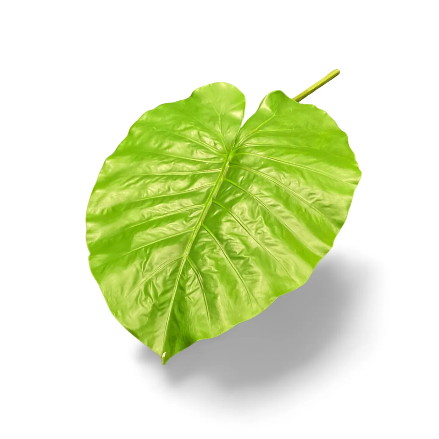 Fanning Leaf - Large 