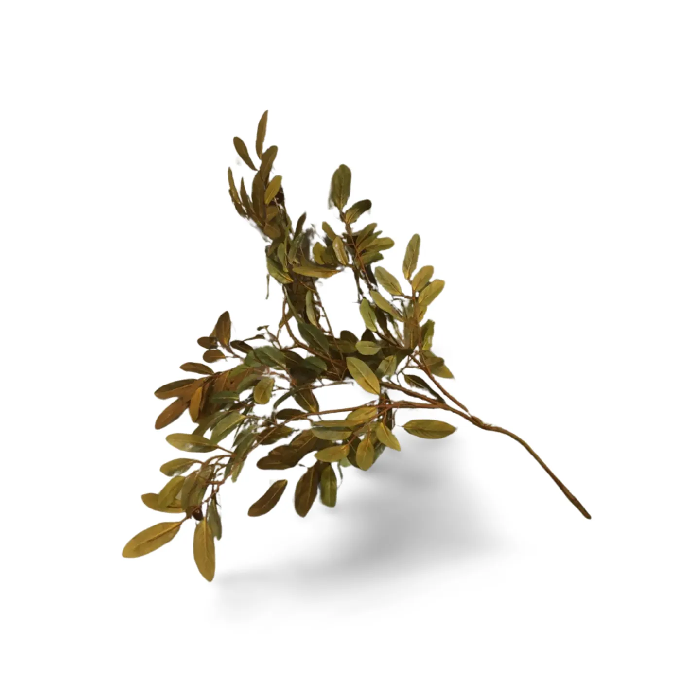 Olive Leaf Branch Spray with Olives