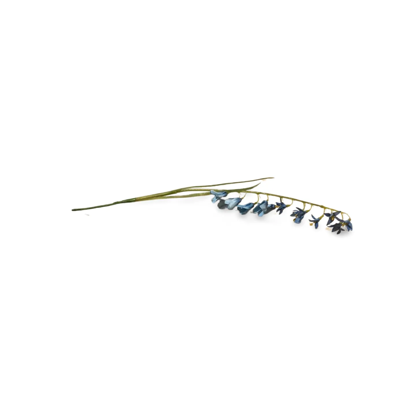 Bluebell Stem