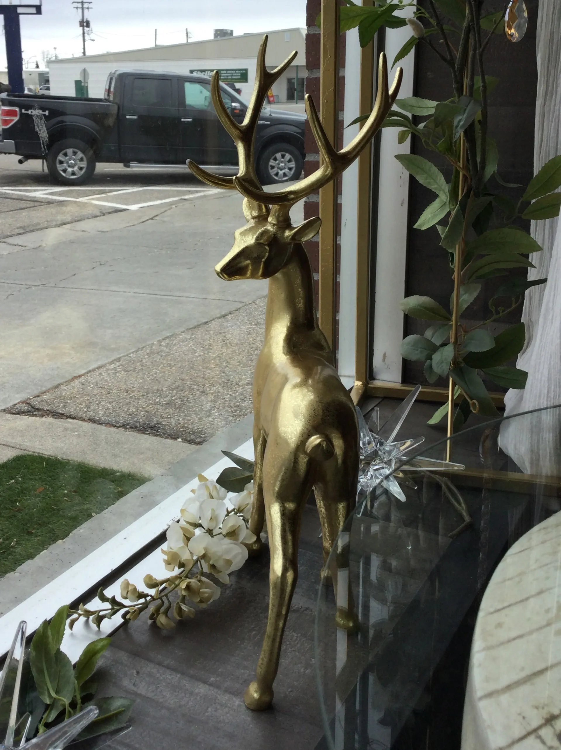 Gold Bucks