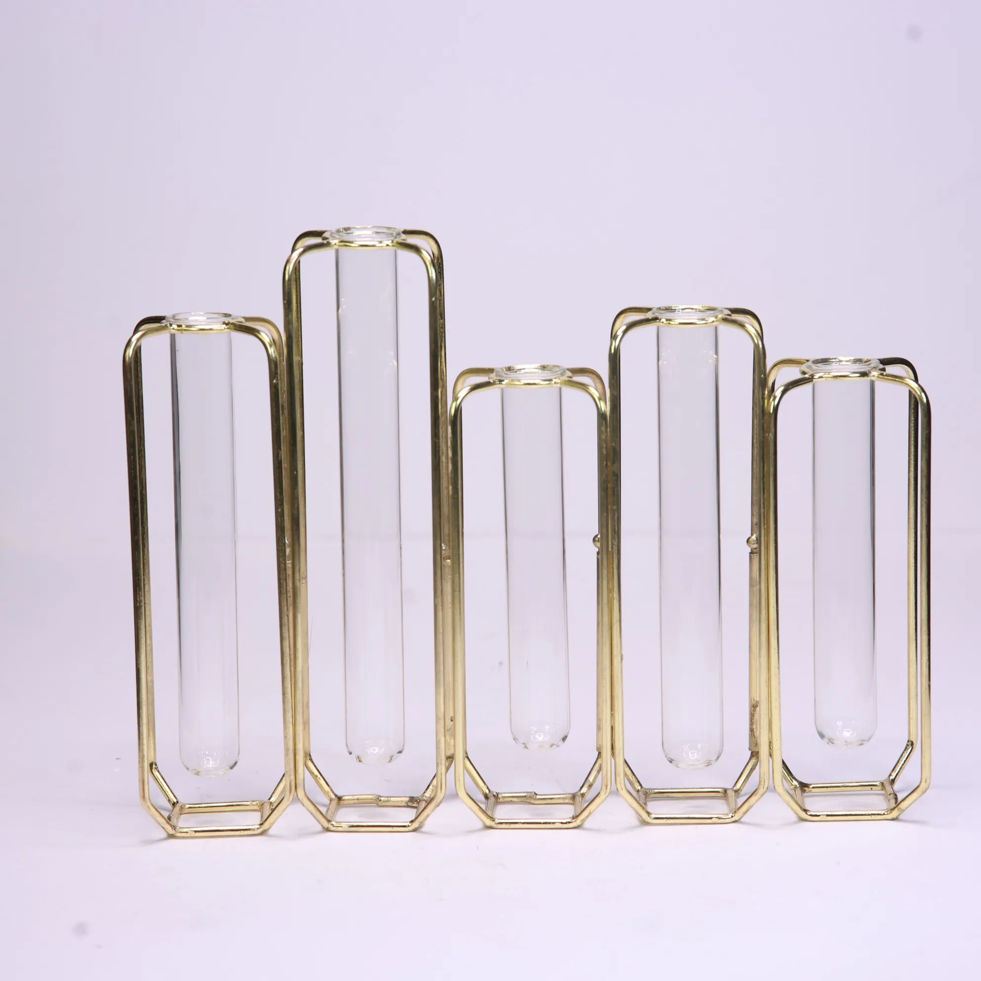 Gold Tube Terrarium 