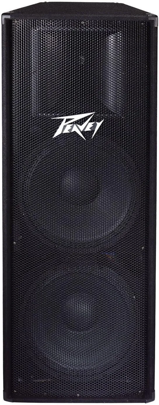 4 ft PA Speaker with Dual 15" Woofers