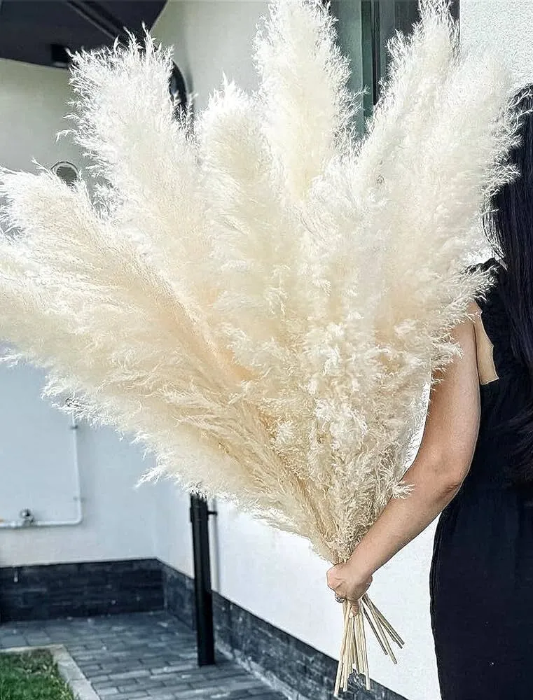 46" Pampas Grass