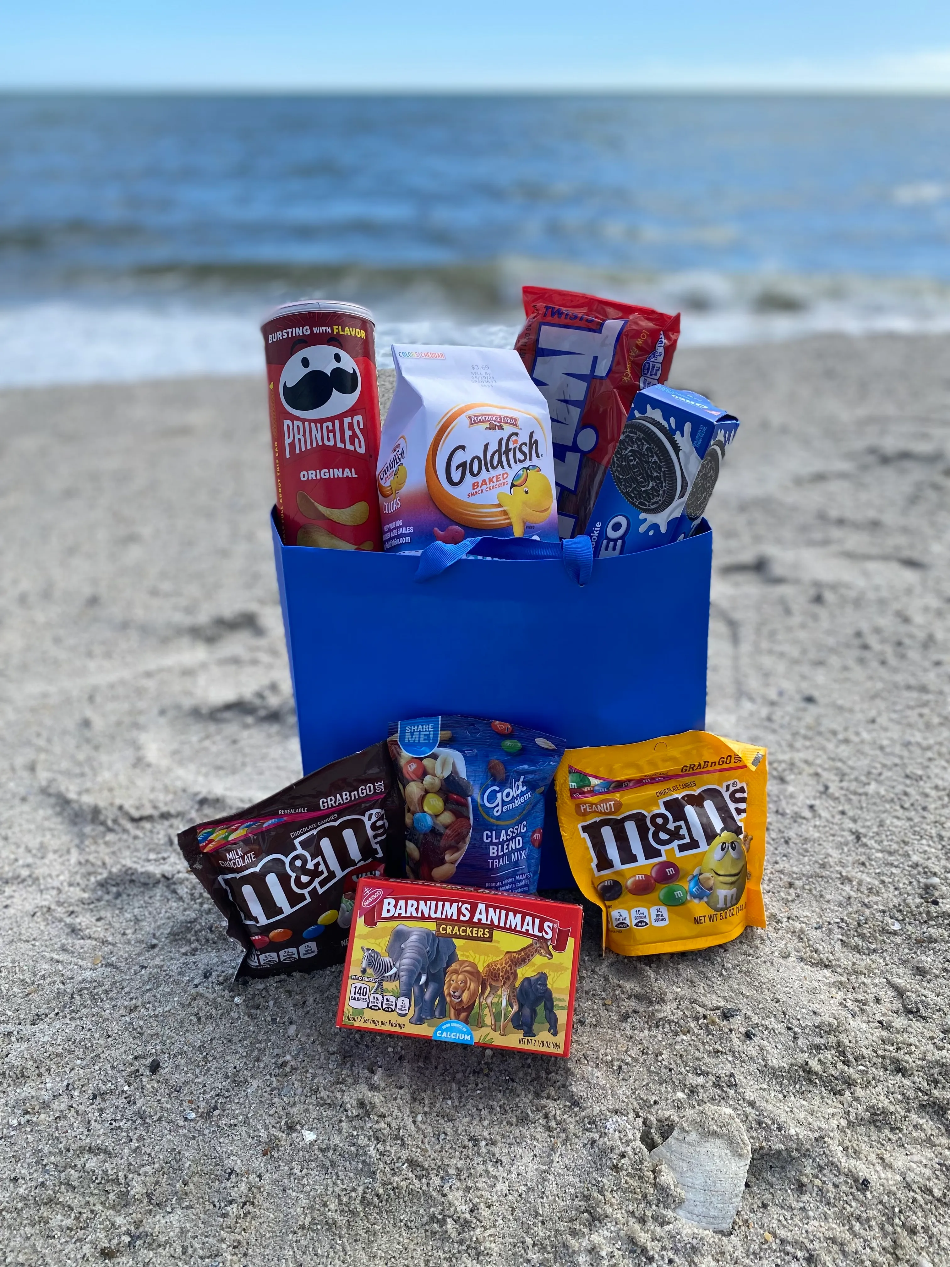 Snack Bag-Classic