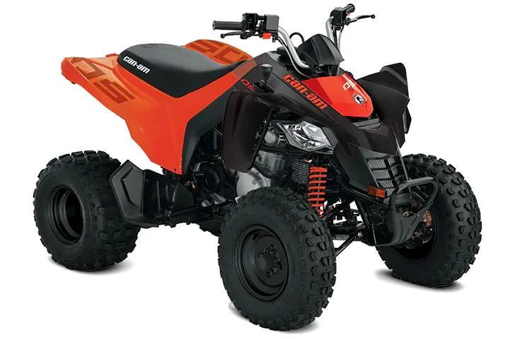 DS 250 — CAN-AM