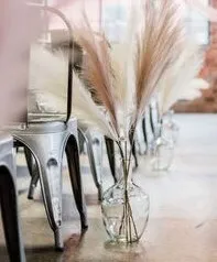 Clear Jugs