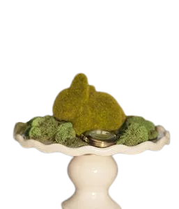 Moss Bunny