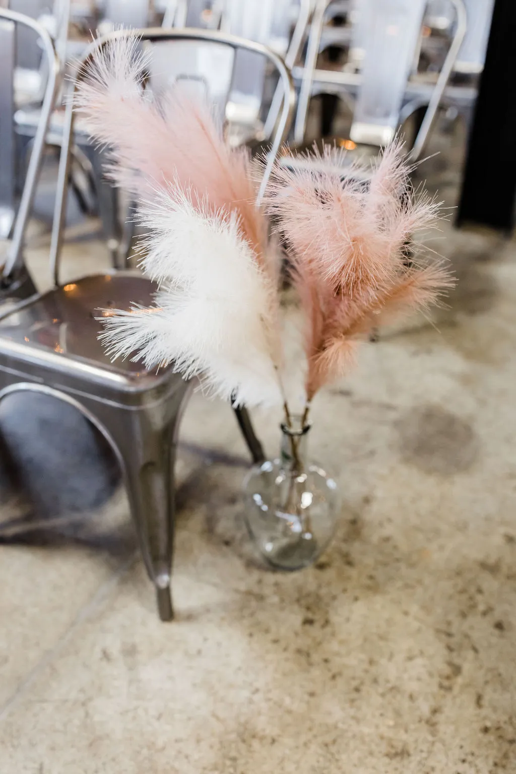Blush Pampas Grass