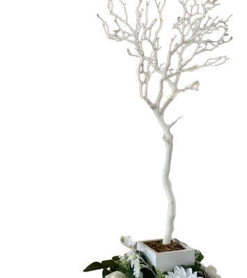 White Trees