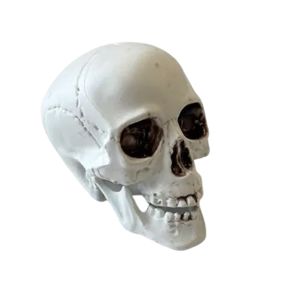 White Skulls