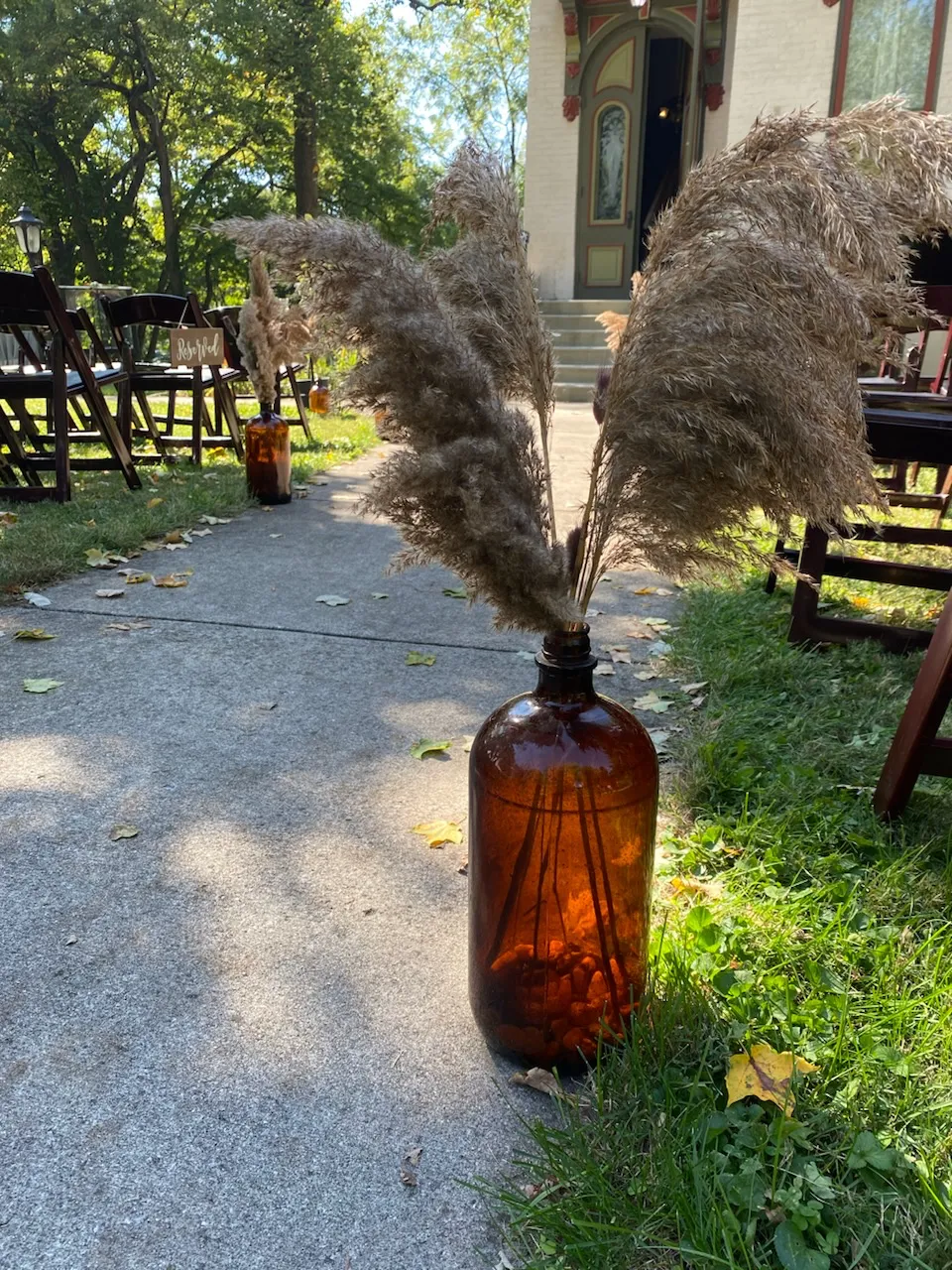 Brown Dried Pampas Grass